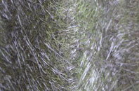 Pen Yr Heol fibreglass roof work